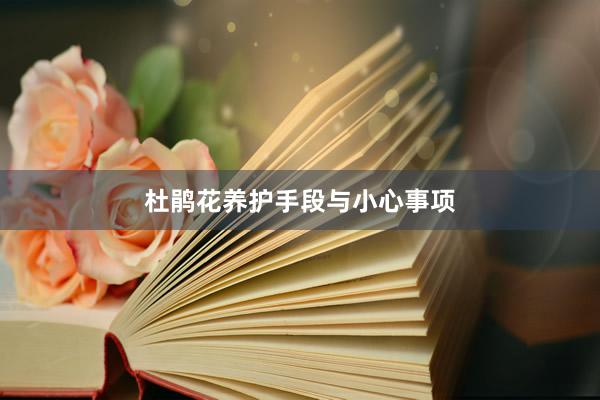 杜鹃花养护手段与小心事项