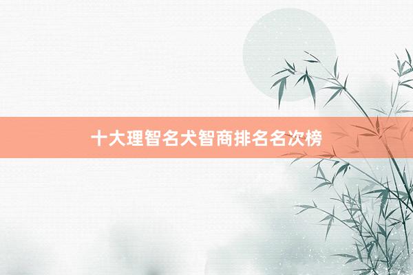 十大理智名犬智商排名名次榜